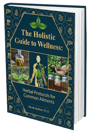 The Holistic Guide to Wellness: Herbal Protocols for Common Ailments | 45 Different Health Conditions | Soft Cover